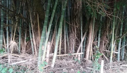下のソーシャルリンクからフォロー