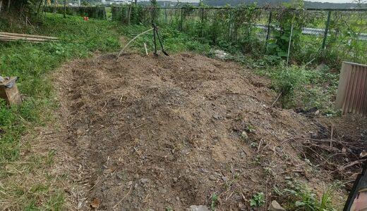 退職して42カ月。無職の主夫が見つけた“生き直し”の時間