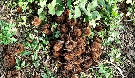 下のソーシャルリンクからフォロー