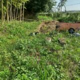 放棄地の購入方法｜一般人が土地を取得するためのリアルな手順と私の体験談