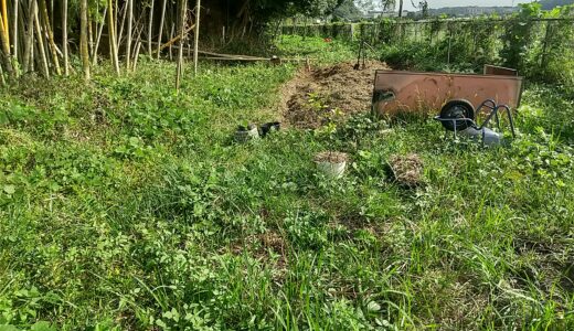 放棄地の購入方法｜一般人が土地を取得するためのリアルな手順と私の体験談