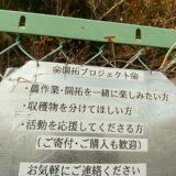 自分の土地なら広告を自由に掲示できる｜最小コストで屋外広告を作る方法