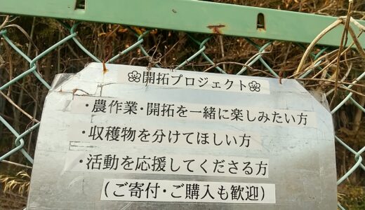 自分の土地なら広告を自由に掲示できる｜最小コストで屋外広告を作る方法