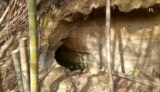 放棄地に洞窟があった｜30年以上崩れない土室をどう活用するか？
