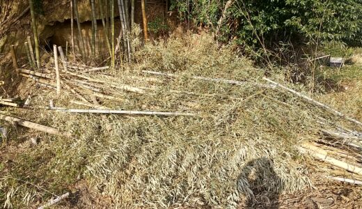 切った竹の葉を早く枯らす方法