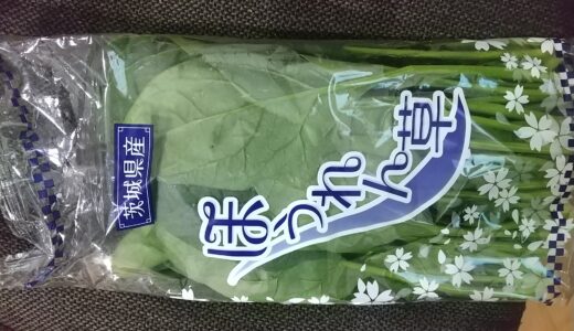 ほうれん草を1束食べたら身体が劇的に軽くなった理由